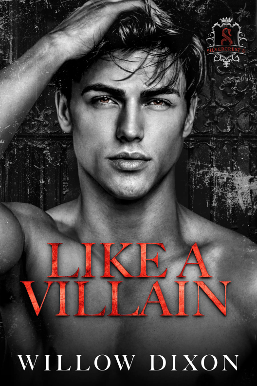 book cover secrets & lies by Willow Dixon